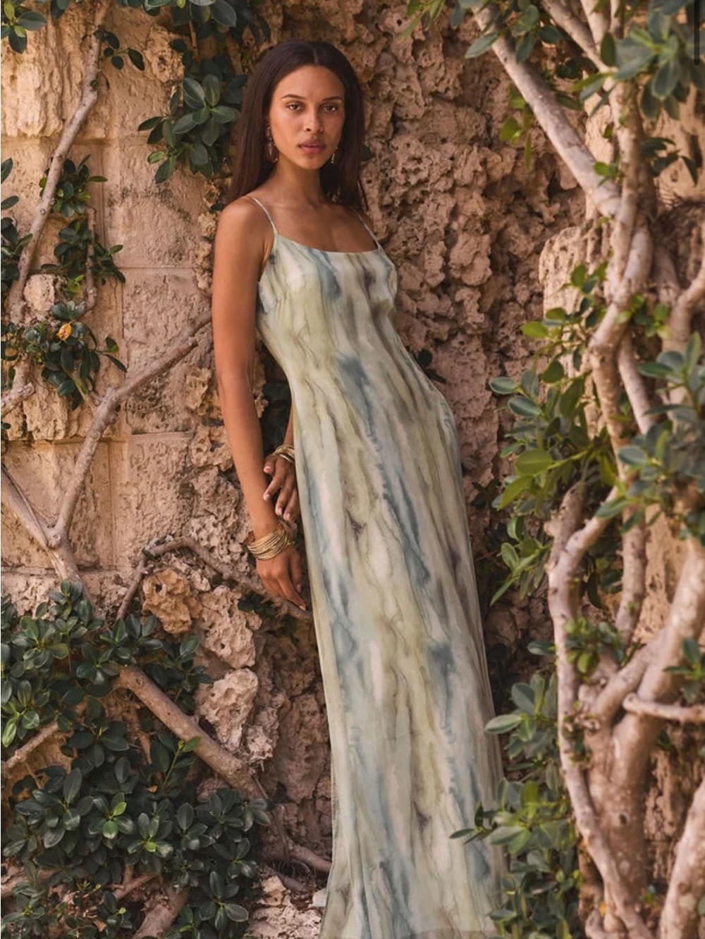 Nerissa Sage Chiffon Maxi Dress - Picture 1 of 4